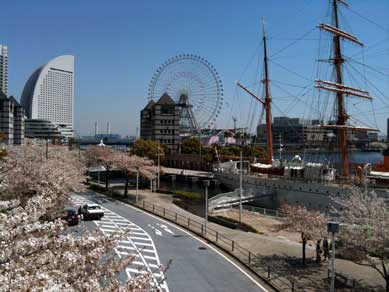 ファイル 1202-1.jpg
