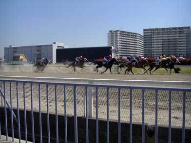 ファイル 1202-4.jpg